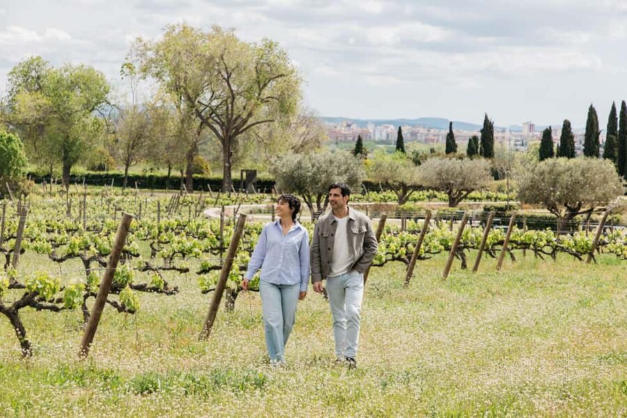 Barcelona-Penedès: Familia Torres wine & tapas winery tour - Walking through Mas La Plana vineyard