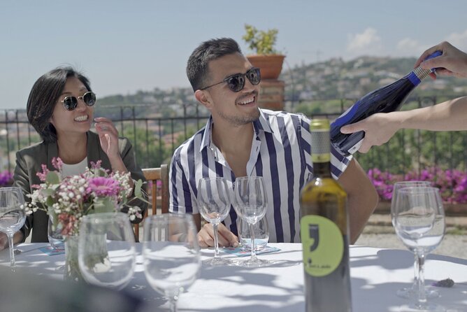Barcelona Sailing Adventure and Small Group Winery Tasting Tour - Returning to Barcelona by luxury minibus
