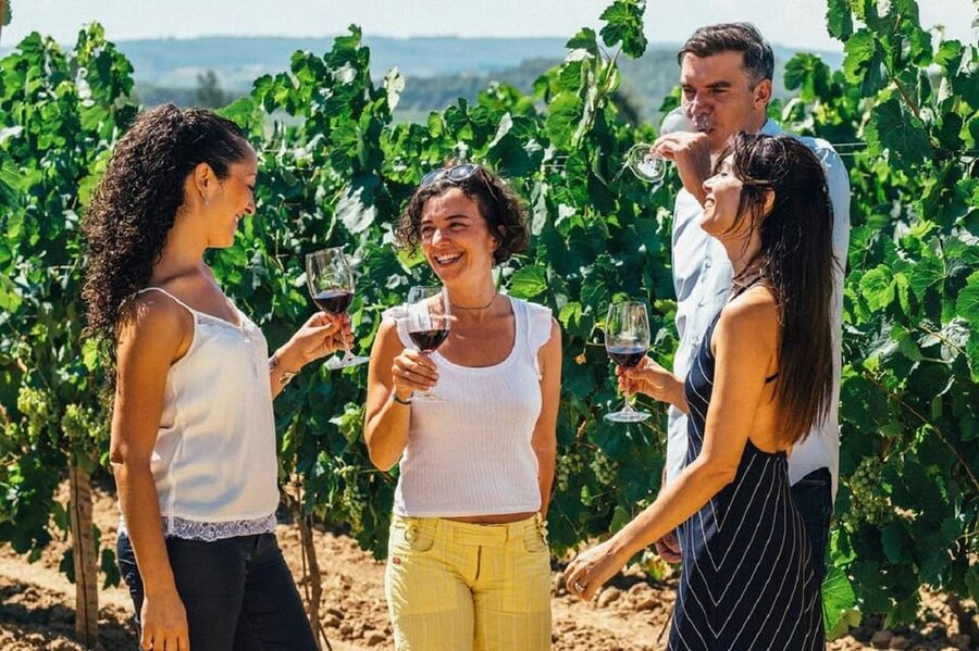 Barcelona: Sailing and Alella Winery Tour with Wine Tasting - Sailing from Port Olímpic to El Masnou
