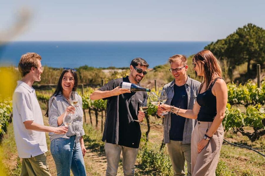 Barcelona: Sailing Cruise & Vineyard Tour with Wine Tasting - Key points to know before booking