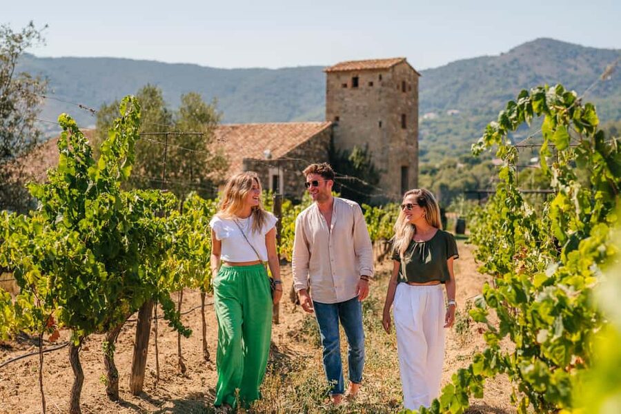 Barcelona: Sailing Cruise & Vineyard Tour with Wine Tasting - Weather, timing, and practical limits