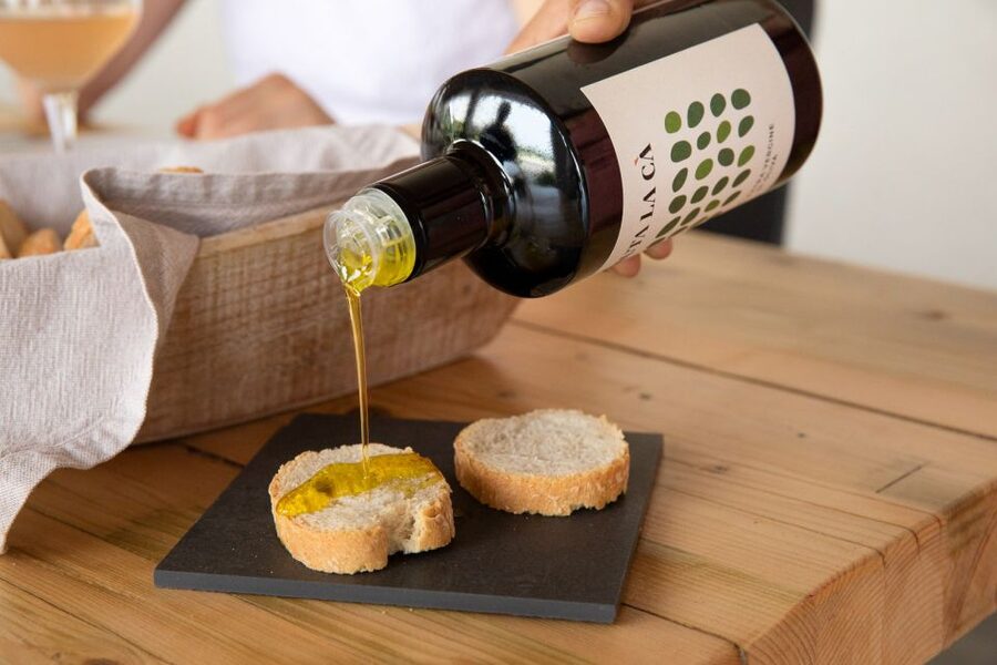 Bardolino: Vineyard Tour with Wine and Food Tasting - Four wines, from DOC to IGT