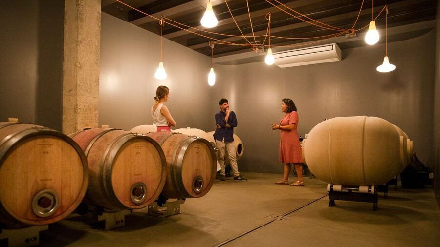 Bardolino: Vineyard Tour with Wine and Food Tasting - The people make the visit