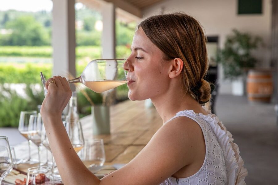 Bardolino: Vineyard Tour with Wine and Food Tasting - Price, time, and overall value