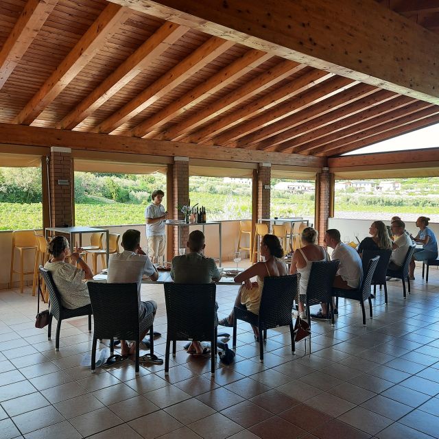 Bardolino: Vineyard Tour with Wine, Olive Oil & Food Tasting - Key points to know before you book