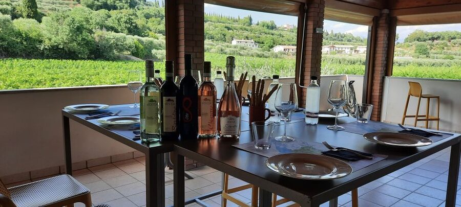 Bardolino: Vineyard Tour with Wine, Olive Oil & Food Tasting - Five wines, from sparkling rosé to red