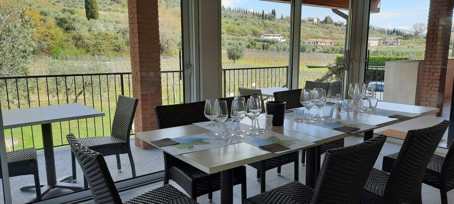 Bardolino: Vineyard Tour with Wine, Olive Oil & Food Tasting - Olive oil and local food make the tasting work