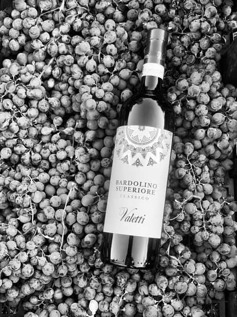Bardolino: Wine tasting at Cantina Valetti - Entering the winery and meeting the guides