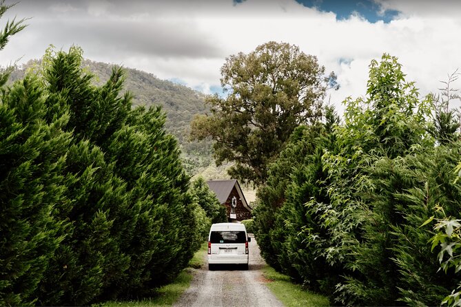 Barefoot Luxury Mount Tamborine Winery Tour from Brisbane - Why this Mount Tamborine day works so well from Brisbane