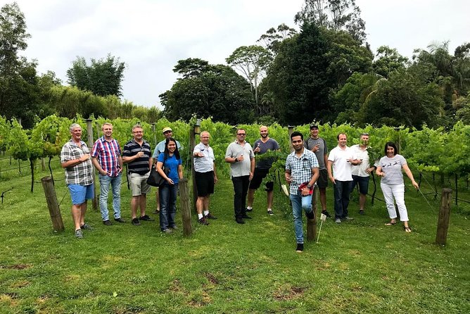 Barefoot Luxury Mount Tamborine Winery Tour from Brisbane - Witches Falls Winery sets the tone
