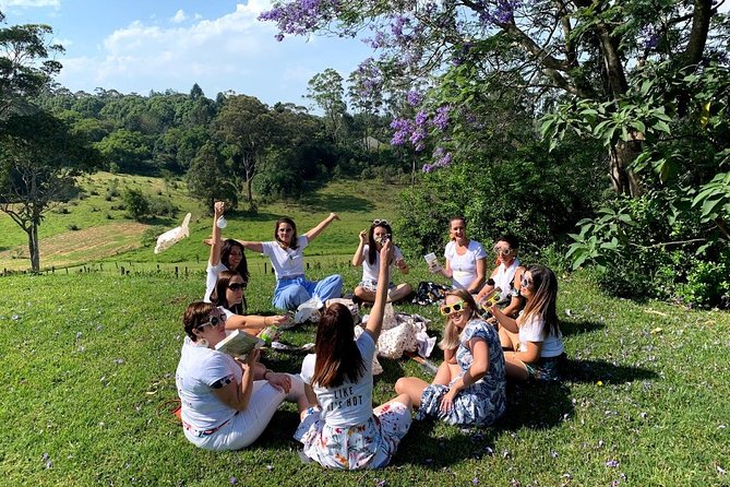 Barefoot Luxury Mount Tamborine Winery Tour from Gold Coast - Mountain views and the national park stop