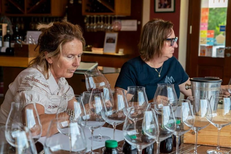BAROLO: GUIDED VISIT TO THE WINERY AND TASTING WITH THE PRODUCER - Key points to know before you book