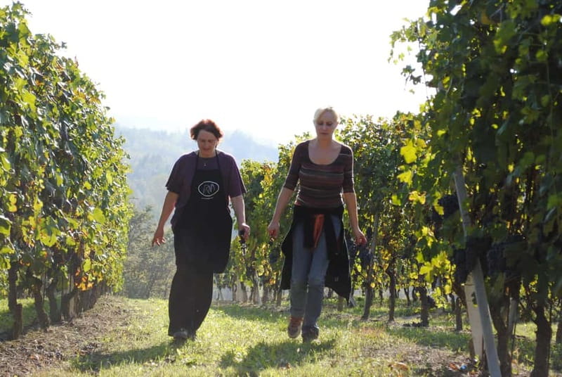 BAROLO: GUIDED VISIT TO THE WINERY AND TASTING WITH THE PRODUCER - Seeing how Barolo spends its years in oak