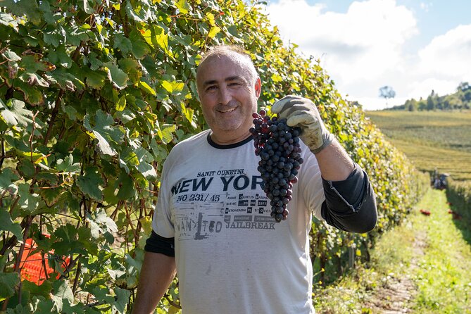 Barolo Tasting and Vineyard Tour and Winery Visit - A focused Barolo visit in Monforte d’Alba
