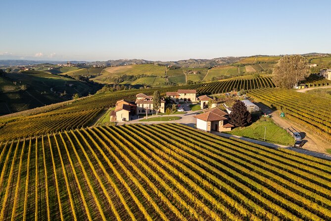 Barolo Tasting and Vineyard Tour and Winery Visit - What the $36.30 price gives you