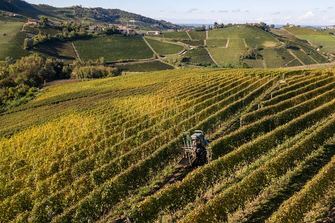 Barolo Tasting and Vineyard Tour and Winery Visit - A small group with room for questions