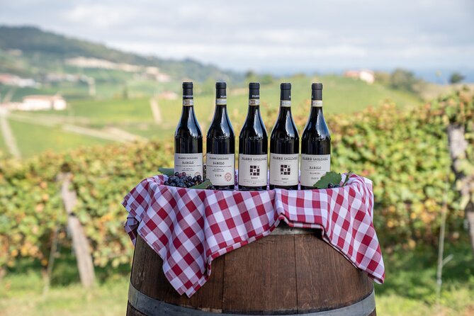 Barolo Tasting and Vineyard Tour and Winery Visit - Planning your visit to Podere Gagliassi