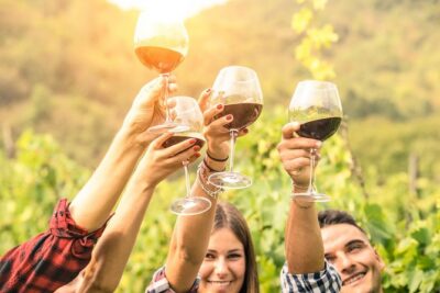 Barossa Valley Cellar Door Small Group Tour