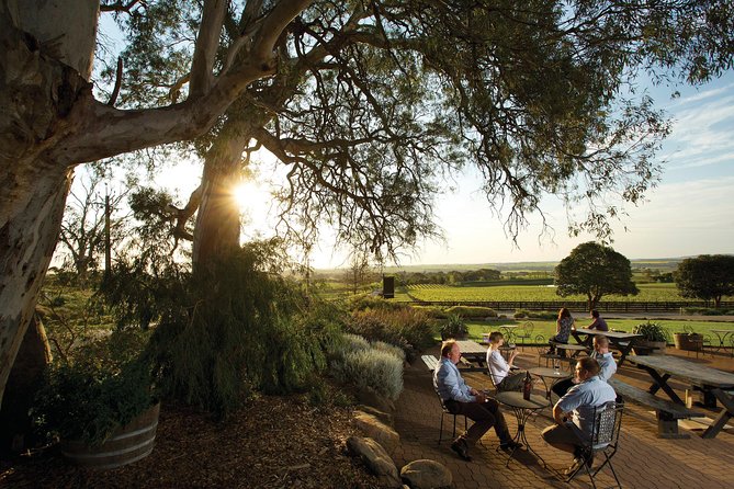 Barossa Valley Hop-On Hop-Off Wine Tour - Maggie Beer, Yalumba, Saltram, and the food stops