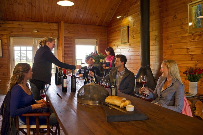 Barossa Valley Hop-On Hop-Off Wine Tour - The most important rule: do not miss the bus