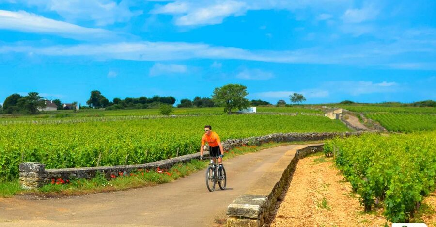 Beaune: Winery Tour by Bike with Wine Tasting - Pommard and the first vineyard views