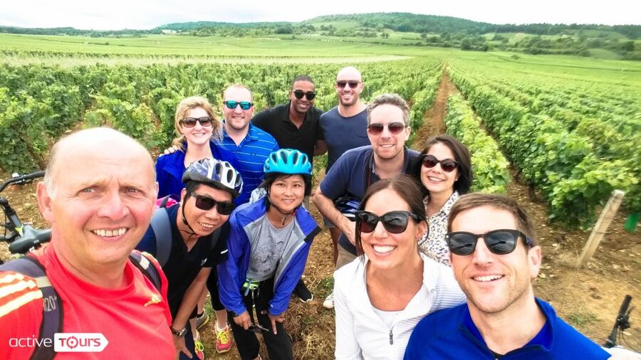 Beaune: Winery Tour by Bike with Wine Tasting - Bike choice, fitness, and safety