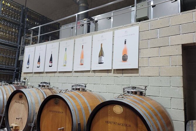 Beautiful Winery in the Alicante - Starting among the vines at Bodega Casa Sicilia