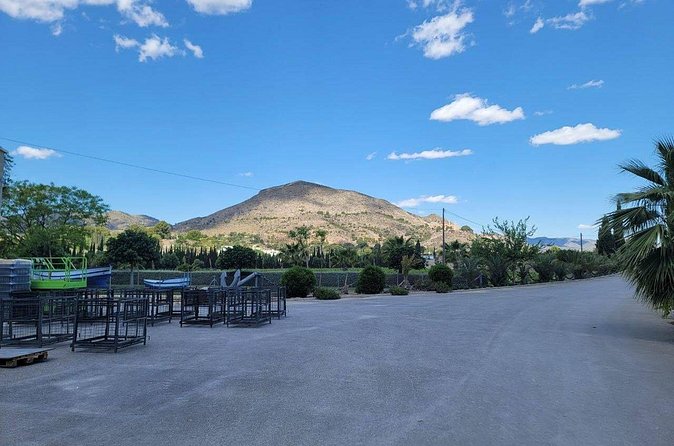 Beautiful Winery in the Alicante - Timing, booking, and port-day planning