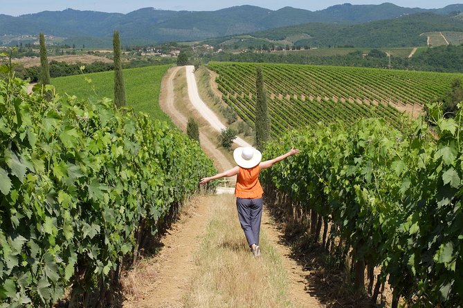 Bella Toscana Private Tour: 2 Chianti Wineries and San Gimignano From Livorno - What the private guide adds
