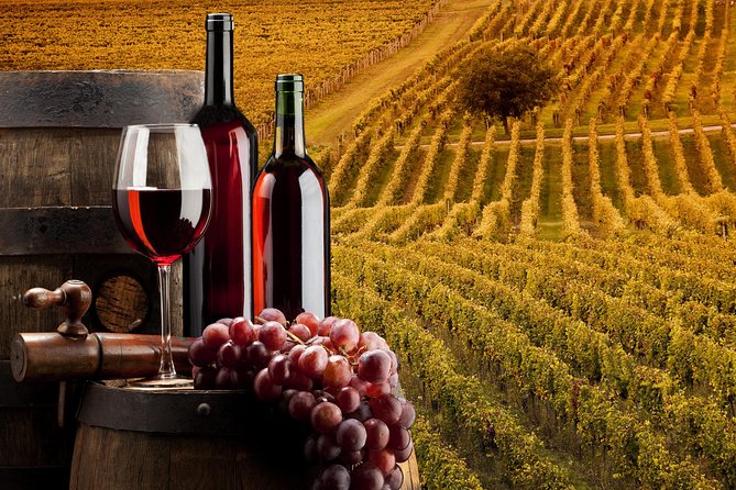 Bella Toscana Private Tour: 2 Chianti Wineries and San Gimignano From Livorno - Timing, practical details, and small cautions