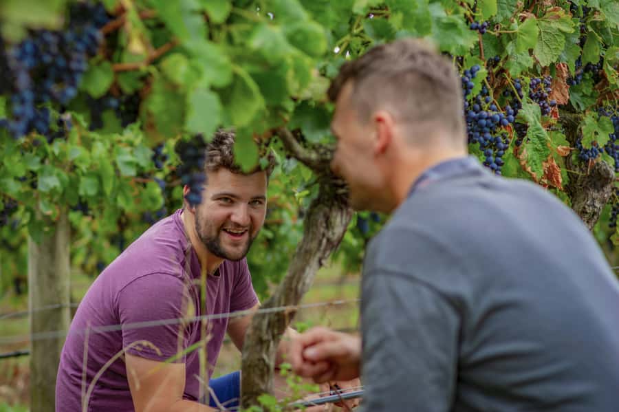 Bellarine Winery: Texas BBQ Platter Lunch with Wine - A Texas lunch at Bellarine Estate