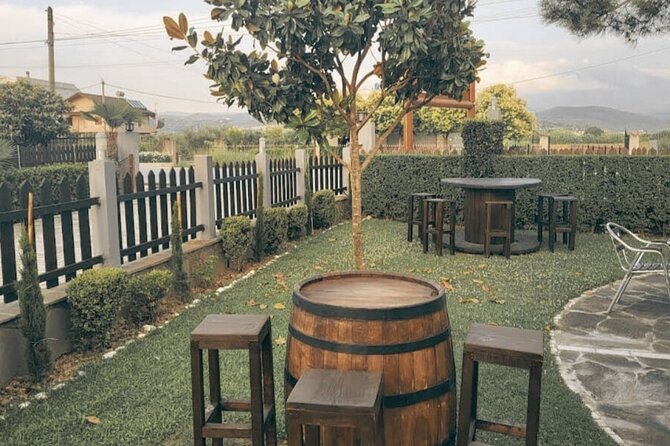 Berat wine Tour Guided Winery Tour with Transfers and Tastings - Three wines, raki, and a table of local snacks