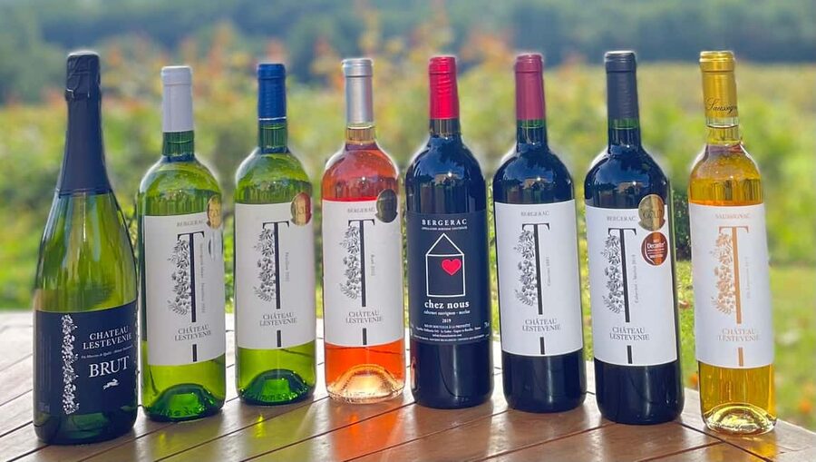 Bergerac: Wine Tasting at Chateau Lestevenie - Meeting the people behind Chateau Lestevenie