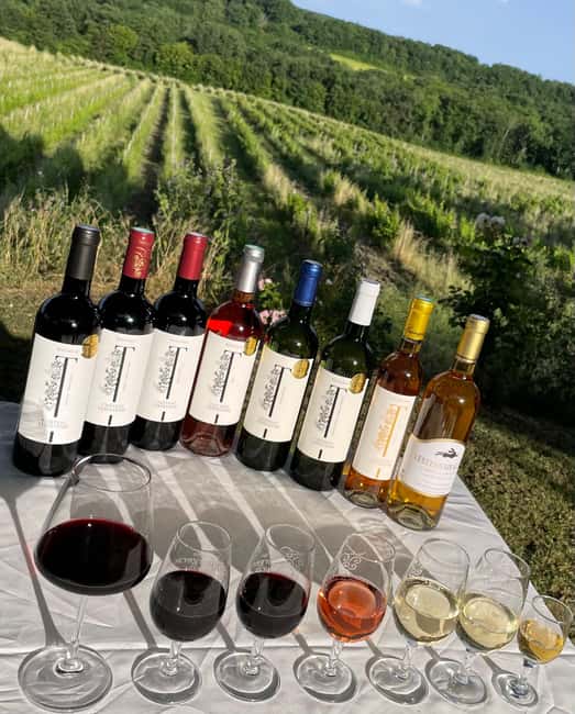 Bergerac: Wine Tasting at Chateau Lestevenie - Conversation is part of the experience
