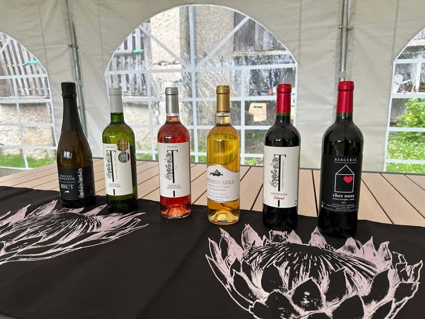Bergerac: Wine Tasting at Chateau Lestevenie - Tasting up to six wines at an easy pace