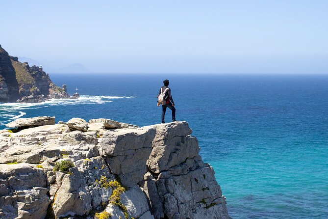 Best of Cape Town Cape Point and Wineries Combined Private Tour - Boulders Beach and its African penguins