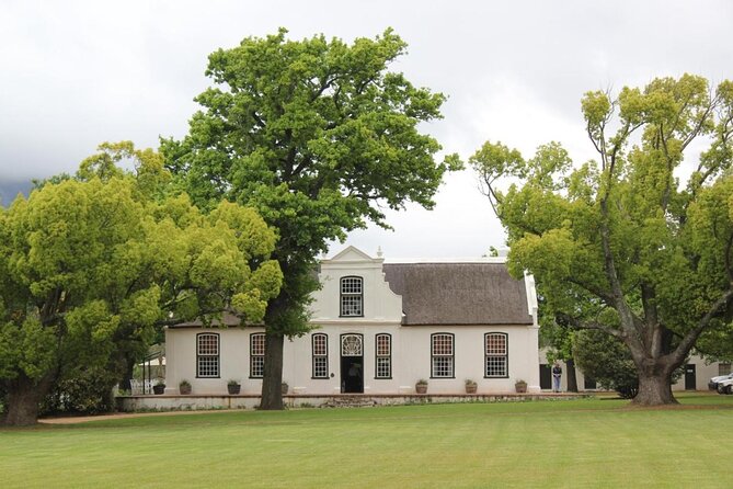 Best of Cape Town Wines - Cape Winelands Tour - Three Cape estates without the driving duty