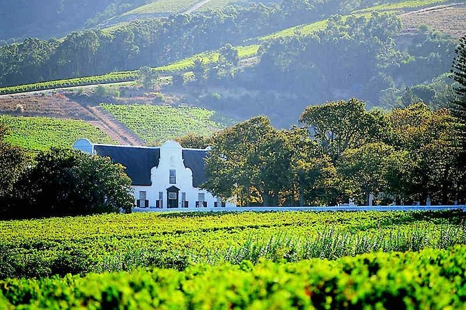 Best of Cape Town Wines - Cape Winelands Tour - Is the $159.52 price fair?