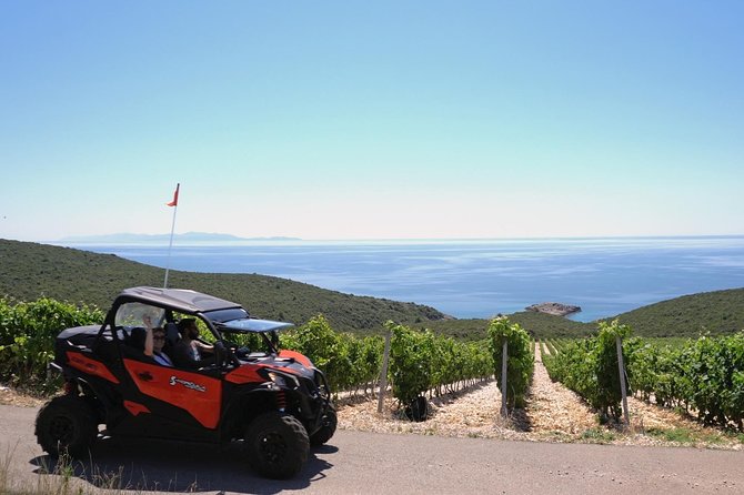 Best of Korcula island winery's by 4X4 Canam buggys with lunch - What the off-road route can show you