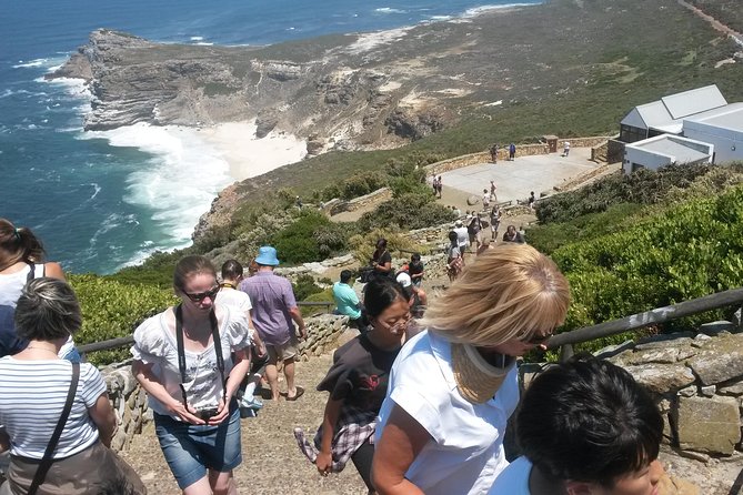 Best of the Cape (Cape Point & Winelands) - Boulders Beach and the African penguins