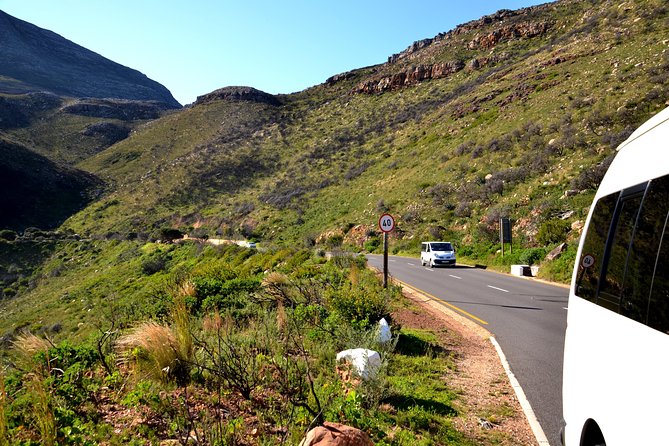 Best of the Cape (Cape Point & Winelands) - Why the small group matters
