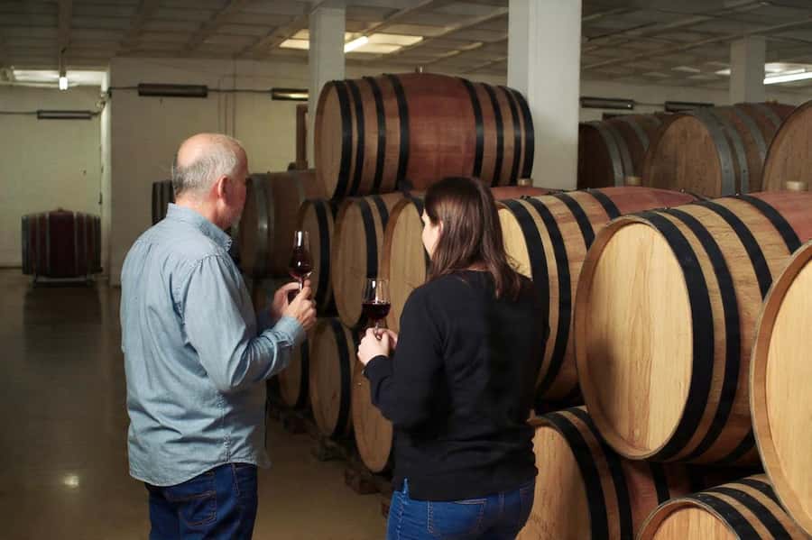Best of the Cape Peninsula & Wine Route with Wine Tasting - Cape Point, the lighthouse, and the biggest time issue