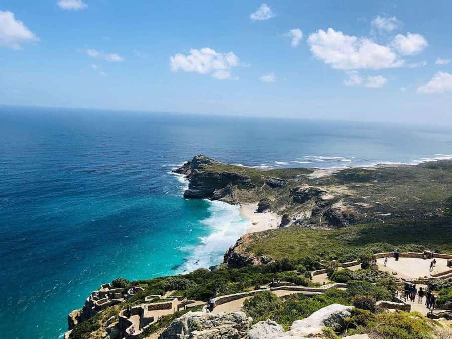 Best of the Cape Peninsula & Wine Route with Wine Tasting - Zevenwacht Wine Estate and the included tasting
