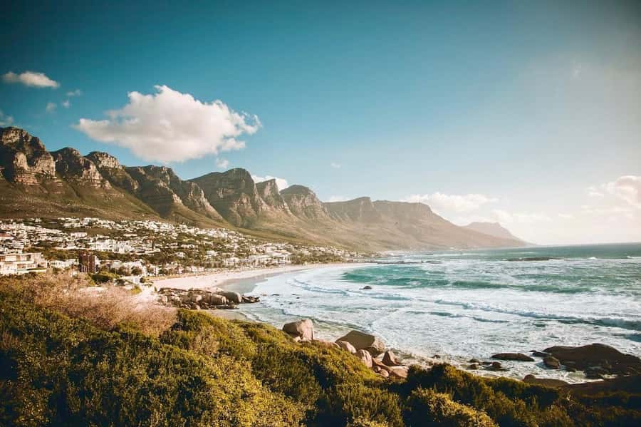 Best of the Cape Peninsula & Wine Route with Wine Tasting - Is $185 a fair price?