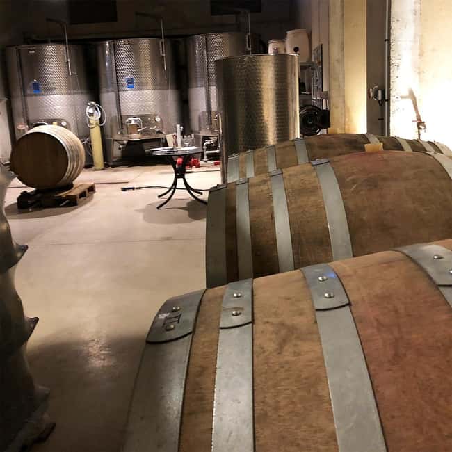 Béziers : Explore the Faugères Vineyards with a Picnic - The Second Winery: Compare, Do Not Just Repeat