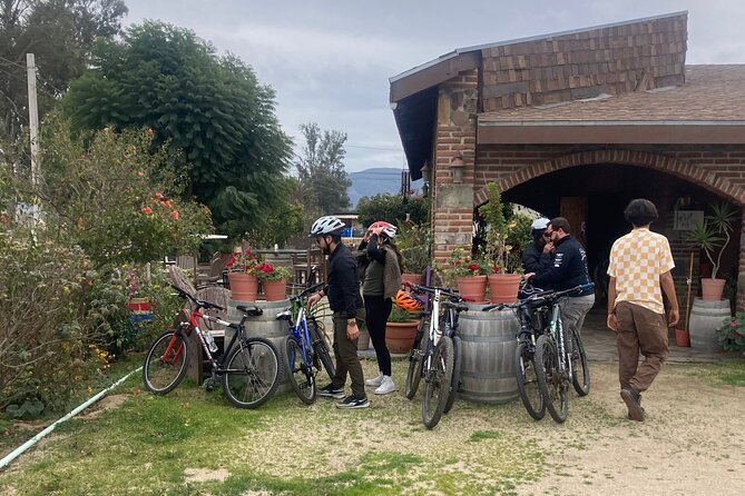 "Bike 2 wine", Exploring vineyards on a bike - Vinicola JC Bravo and the Cariñan tasting