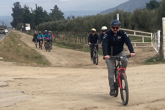 "Bike 2 wine", Exploring vineyards on a bike - Cheese, snacks, and the rhythm of the morning