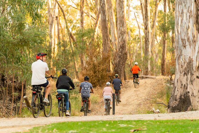 Bike to Winery Tour - Moama Beach and the first river views