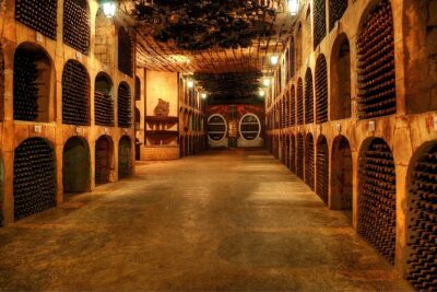Biking a Guinness Book Winery