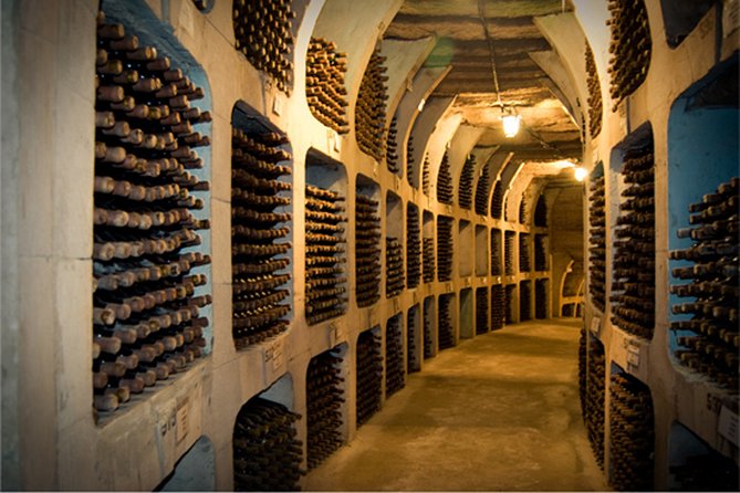 Biking a Guinness Book Winery - How it compares with a more traditional winery visit